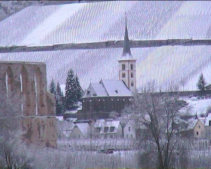 Kleines Winzerhauschen Villa Bremm Rum bild