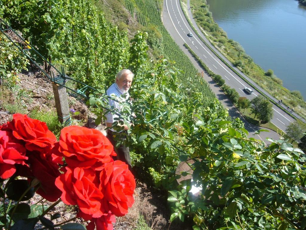 Kleines Winzerhauschen Villa Bremm Rum bild