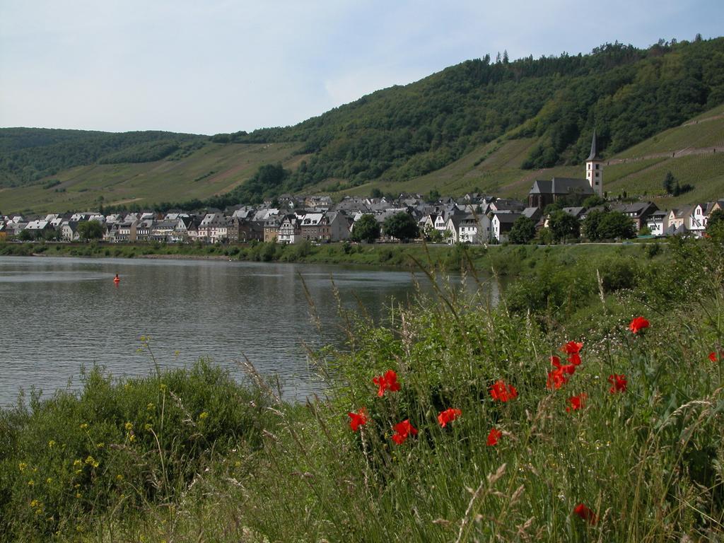 Kleines Winzerhauschen Villa Bremm Rum bild