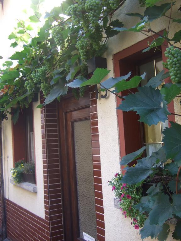 Kleines Winzerhauschen Villa Bremm Exteriör bild